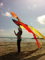 Irene E-Vento 13